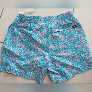 Chubbies Teal and Pink Swim Shorts